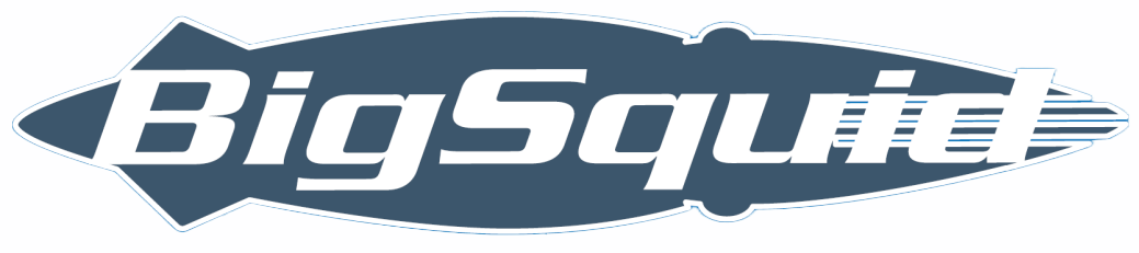 Big Squid Dive Centre logo